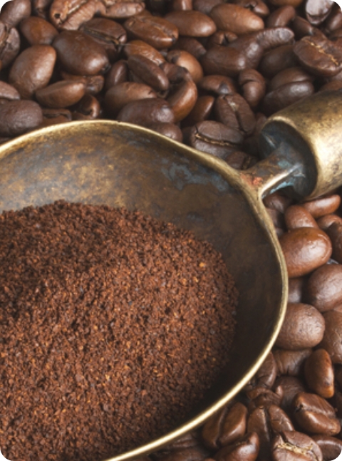 Raices del café img